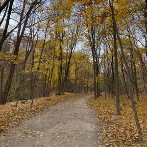 Meet your Posher, Nora